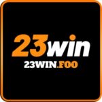 23WINfoo