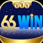 66WIN