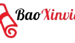 BAO XIN VIỆC