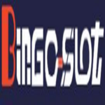 bingoslotcom