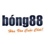 bong88outletbirkenstock