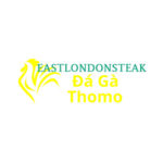 Đá Gà Trực Tiếp Thomo