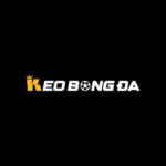 Kèo bóng đá - Tỷ lệ kèo bóng đá trực tuyến hôm nay