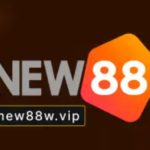 Nhà Đài New88