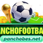 Panchobes Net