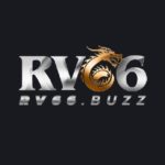 rv66buzz