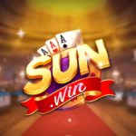 sun20wincam