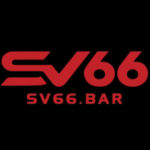 sv66bar