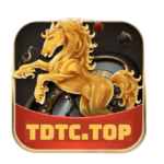 tdtc09g