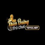 tdtccnet