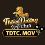 tdtcmov