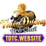 tdtcwebsite