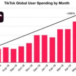 tiktokshopaccountmanager