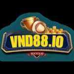 VND88