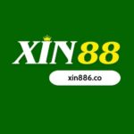 xin88