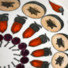 Set of 5 Giostra di frutta plates by Piero Fornasetti Set of 5 Giostra di frutta plates by Piero Fornasetti