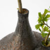 Large Brutalist Double-Spout Amphora Vase