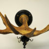 Real Vintage Moose Antlers with Hooks 1920s, Norway