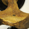 Real Vintage Moose Antlers with Hooks 1920s, Norway