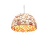 Amazing Dome Seashell Chandelier