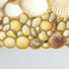 Amazing Dome Seashell Chandelier