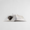 Industrial Rectangular Ceiling Lamp