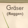 Botanical Poster Volk Und Wissen Volkseigener Verlag
