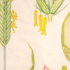 Botanical Poster Volk Und Wissen Volkseigener Verlag