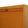 Vintage Birch Cabinet from Ekawerk Lippe, 1950s