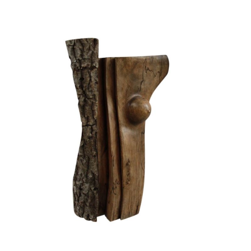 Sculpture in walnut with bark – ‘Amazon’ – by Claudio Di Placido – France – 1990’s