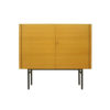 German Ash Wood Cupboard By Helmut Magg For De We Deutsche Werkstätten, 1950s