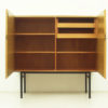 German Ash Wood Cupboard By Helmut Magg For De We Deutsche Werkstätten, 1950s