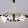Mid-Century Modern 16-Armed Brass and Glass Sputnik Lamp, 1950s