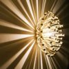 Studio Tetrarch for Valenti Luce 1960s Large PISTILLO Ceiling Lamp in Gold
