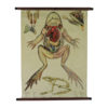 Pull Down Wall Chart of frog Anatomy, 1970s