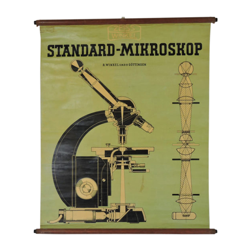 Wall Chart by Zeiss Winkel Standard-Mikroskope, 1940s