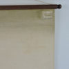 Pull Down Wall Chart of Perch Anatomy, 1970s