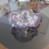 Glass Dish 1960