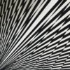 Kinetic Work by Geneviève Fauvel