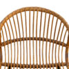 Mid Century Rattan Lounge Chair by Alan Fuchs for Experimental Housing Project Invalidovna in Prague