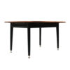 Vintage Dining Table, 1950s