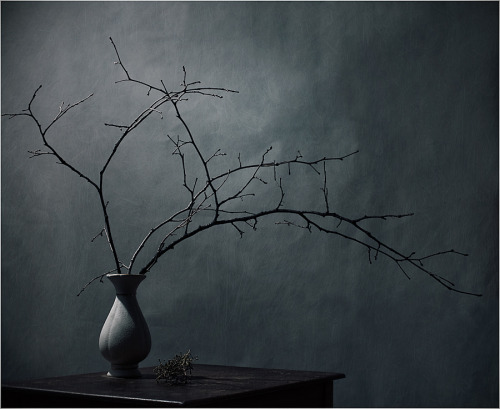 Shadows and cold, the quiet joy of interiors in winter