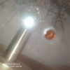 big table lamp La Murrina 70's