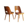 Pair of Mid Century dining chairs n.515 by Oswald Haerdtl for TON Company