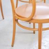 No. 209 Chair from Thonet