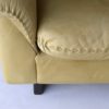 Large Vintage Adjustable Armchair and Footstool in the style of de Sede, 1970s, Set of 2