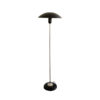 Czechoslovak Floor Lamp by Kamenický Šenov, 1960s