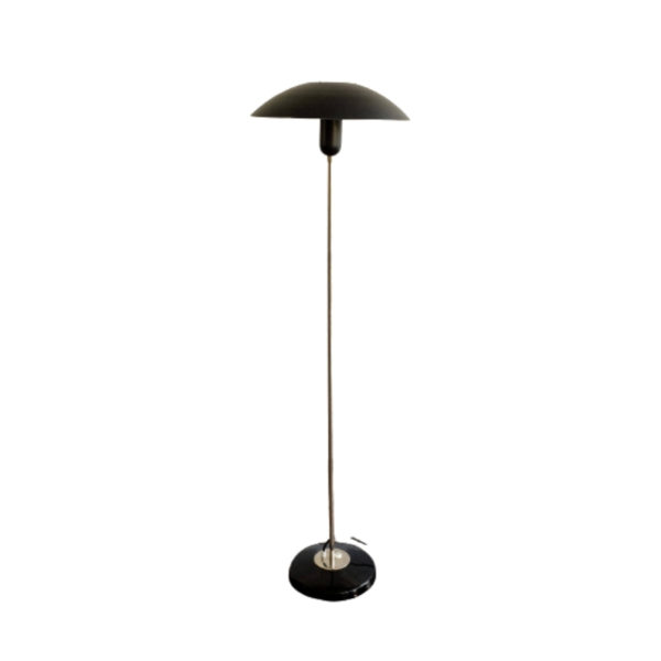 Czechoslovak Floor Lamp by Kamenický Šenov, 1960s