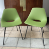 Pierre Guariche - Pair of Tonneau model chairs