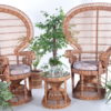 Set of two King Sized Emmanuelle Peacock Chairs with side table Set of two King Sized Emmanuelle Peacock Chairs with side table